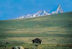 Image: Cordillera Blanca - Cordillera Blanca