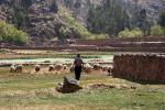 Image: Raqchi - Cusco, Peru