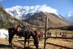 Image: Soray Lodge - The Inca Trails, Peru