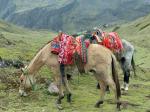 Lares valley