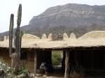 Image: Chaparri Ecolodge - Trujillo, Chiclayo and surrounds, Peru