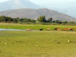 Image: Chaparri - Trujillo, Chiclayo and surrounds