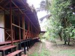 Image: Sandoval Lake Lodge - Tambopata and Manu, Peru