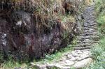 Steps on the Inca trail