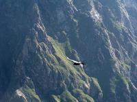 The Colca Valley image