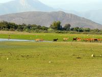 Trujillo, Chiclayo and surrounds image