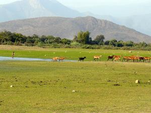 Trujillo, Chiclayo and surrounds image