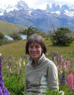 Sue in lupins, Torres del Paine (Chile). Sue Morkill image