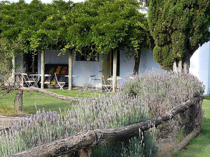 UR0309RB375_narbona-vineyard.jpg [© Last Frontiers Ltd]