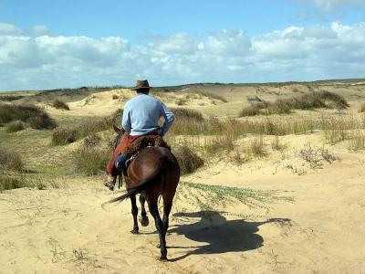 Horseback riding