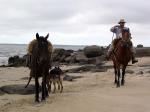Laguna Negra - Jos Ignacio and the East, Uruguay