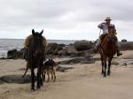 Laguna Negra - Jos Ignacio and the East, Uruguay