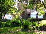 Yurts in the trees