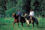 Horsemen - Inland and the North, Uruguay