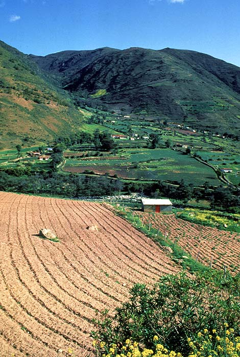 VE0892EP_andes.jpg [© Last Frontiers Ltd]