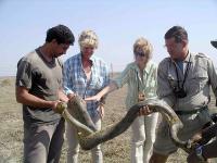 Robert Sonderman's Air Safari image