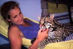 Image: Ocelot - The Llanos