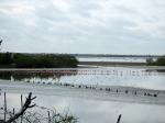 Image: Chichiriviche - Choron and Morrocoy