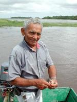 Image: Pirana - The Llanos, Venezuela