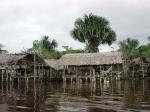 Image: Orinoco Delta - The Orinoco Delta