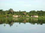 Image: Orinoco Delta - The Orinoco Delta, Venezuela