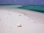 Image: Crasqu - Los Roques