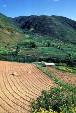 Image: The Andes - The Andes