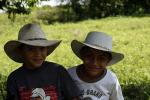 Image: Hato Cristero - The Llanos