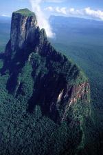 Image: Cerro Autana - The Gran Sabana and the Amazon