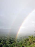 Image: Playn - The Gran Sabana and the Amazon