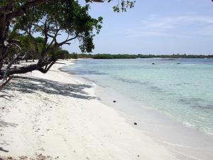 Choron and Morrocoy image