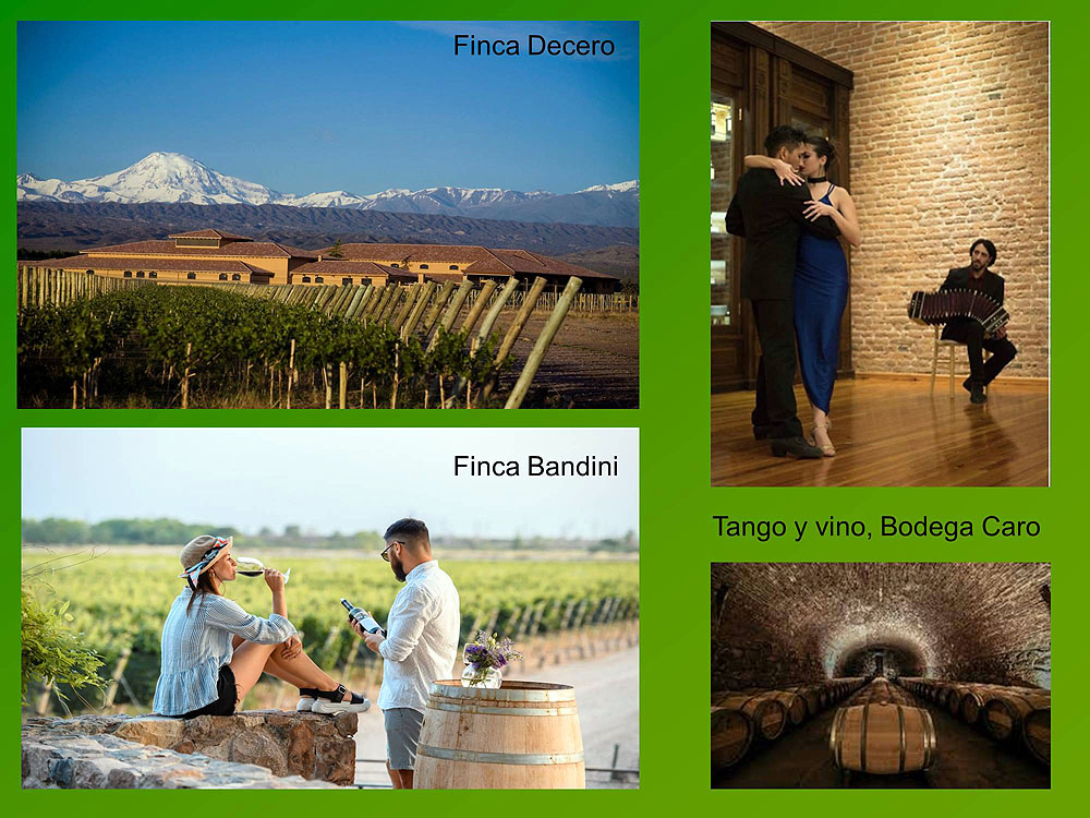 005AR2008EP_webinar-wine-mendoza.jpg [© Last Frontiers Ltd]