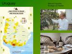 Uruguay wine regions